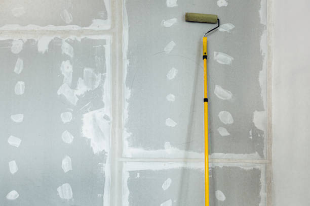 Best Environmental Consulting for Mold Prevention  in Sun Prairie, WI