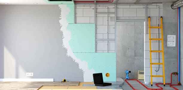 Best Black Mold Removal  in Sun Prairie, WI