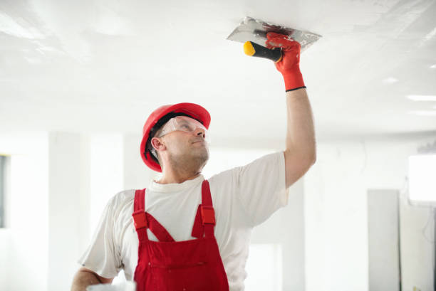 Best Industrial Mold Remediation  in Sun Prairie, WI