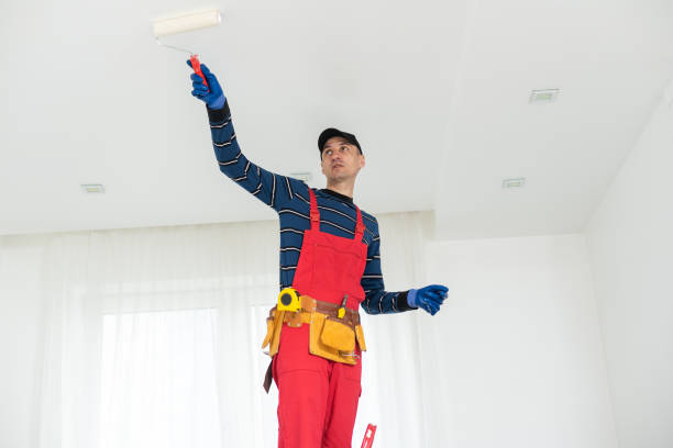  Sun Prairie, WI Mold Removal Pros